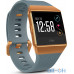 Смарт-годинник Fitbit Ionic watch Slate Blue/Burnt Orange One Size (FB503CPBU) — інтернет магазин All-Ok. фото 2