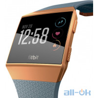 Смарт-годинник Fitbit Ionic watch Slate Blue/Burnt Orange One Size (FB503CPBU)