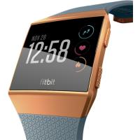 Смарт-годинник Fitbit Ionic watch Slate Blue/Burnt Orange One Size (FB503CPBU)