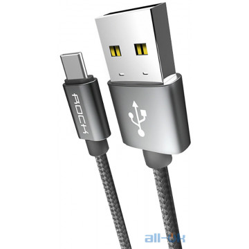 Кабель Rock C2 type C to A cable 1M Tarnish