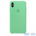 Чохол  Apple iPhone Xs Silicone Case Spearmint — інтернет магазин All-Ok. фото 1