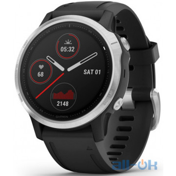  Спортивний годинник Garmin Fenix 6S Silver (010-02159-01)