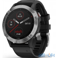 Garmin Fenix 6 Silver (010-02158-00) 