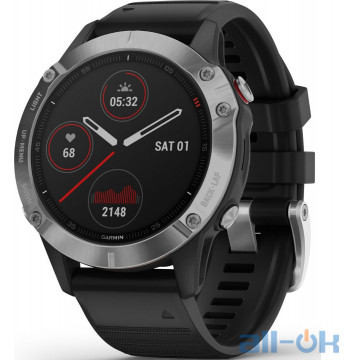 Garmin Fenix 6 Silver (010-02158-00) 