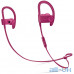 Навушники з мікрофоном Beats by Dr. Dre Powerbeats 3 Wireless Neighborhood Collection Brick Red (MPXP2) — інтернет магазин All-Ok. фото 1