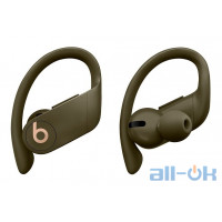 Навушники TWS ( "повністю бездротові") Beats by Dr. Dre Powerbeats Pro Moss (MV712)