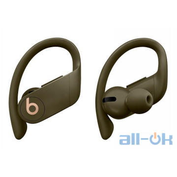 Навушники TWS ( "повністю бездротові") Beats by Dr. Dre Powerbeats Pro Moss (MV712)