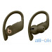 Навушники TWS ( "повністю бездротові") Beats by Dr. Dre Powerbeats Pro Moss (MV712) — інтернет магазин All-Ok. фото 1