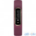 Фітнес-браслет Garmin Vivosmart 4 Berry with Light Gold Hardware Small/Medium (010-01995-11) — інтернет магазин All-Ok. фото 1