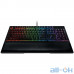 Клавіатура Razer Ornata Chroma (RZ03-02040700-R3R1) UA UCRF — інтернет магазин All-Ok. фото 4