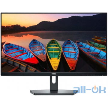 РК монітор Dell SE2419HR Black (210-ATUZ)