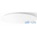 Стельовий світильник Yeelight LED Ceiling Lamp 450 32W 2700-6000K Galaxy (YLXD16YL/YLXD04YL) — інтернет магазин All-Ok. фото 1