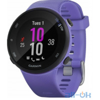 Спортивний годинник Garmin Forerunner 45s Iris (010-02156-11/010-02156-01)