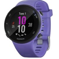 Спортивний годинник Garmin Forerunner 45s Iris (010-02156-11/010-02156-01)
