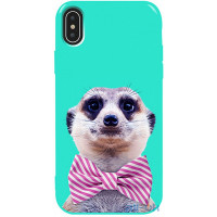 Чохол-накладка TOTO Pure TPU 2mm Print Case Apple iPhone X/XS #33 Horek Mint