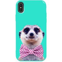 Чохол-накладка TOTO Pure TPU 2mm Print Case Apple iPhone X/XS #33 Horek Mint