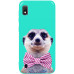 Чохол-накладка TOTO Pure TPU 2mm Print Case Samsung Galaxy A10 #33 Horek Mint — інтернет магазин All-Ok. фото 1