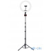 Тримач з кільцевим освітленням JOYROOM Fill light live holder JR-ZS228 AKL03 12 ", 2A, 2700-5700K Black — інтернет магазин All-Ok. фото 1