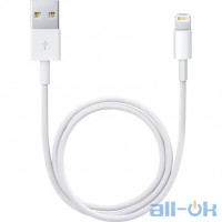 Кабель Lightning Apple Lightning to USB Cable 0.5m (ME291)