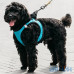 Шлея для собак Xiaomi JORDAN & JUDY Harness for Dogs Size S PE073 Blue — інтернет магазин All-Ok. фото 2