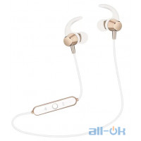 Навушники з мікрофоном Wesdar R22 White/Gold UA UCRF