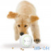 Інтерактивна іграшка з витоком корму Xiaomi Petgeek Automatic Ball Pet Toys Rolling White (K90759K) — інтернет магазин All-Ok. фото 2