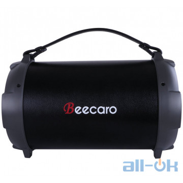 Портативна колонка Beecaro RGB Light X-114