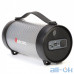 Портативна колонка Beecaro with RGB Light RX22E — інтернет магазин All-Ok. фото 1