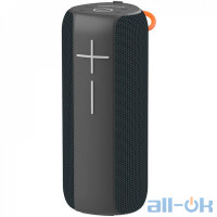 Портативна колонка Hopestar P14 Pro Black