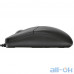 Миша Trust Optical Mouse (16591) UA UCRF — інтернет магазин All-Ok. фото 3
