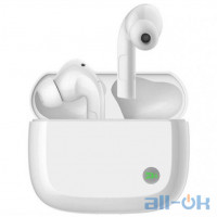 Навушники з мікрофоном ZMI PurPods Pro White TW100ZM 