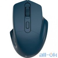 Миша Canyon CNE-CMSW15DB Dark Blue UA UCRF