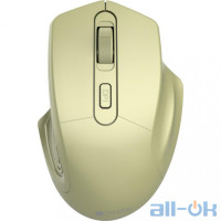 Миша Canyon CNE-CMSW15GO Golden UA UCRF