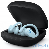 Навушники TWS ( "повністю бездротові") Beats by Dr. Dre Powerbeats Pro Glacier Blue (MXY82)