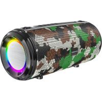 Акустика BOROFONE Young sports with colorful LED IPX5 BR13 |BT, AUX, FM, TF, USB| camouflage-green
