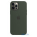 Чохол для смартфону Apple iPhone 12 Pro Max Silicone Case with MagSafe - Cyprus Green (MHLC3) — інтернет магазин All-Ok. фото 1